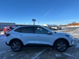 New 2025 Ford Escape ST-Line Elite w/ Tech Pack #1 image 6