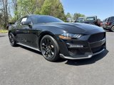 Certified 2019 Ford Mustang Premium w/ Enhanced Security Package image 2