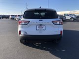 Used 2021 Ford Escape SE w/ SE Sport Appearance Package image 5