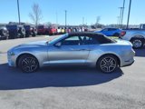Certified 2022 Ford Mustang Premium image 6