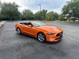 Used 2020 Ford Mustang Premium w/ Equipment Group 201A image 5