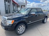 Used 2011 Ford F150 Platinum image 3