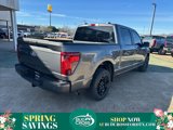 New 2025 Ford F150 STX image 2