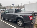 Used 2019 Ford F150 XLT w/ Equipment Group 302A Luxury image 3