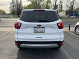 Used 2019 Ford Escape SE image 5