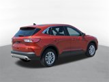 Used 2020 Ford Escape SE image 3