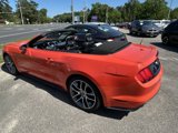 Used 2015 Ford Mustang Premium w/ Equipment Group 201A image 5