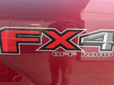 Used 2015 Ford F150 XLT w/ Equipment Group 301A Mid image 5