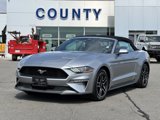 Used 2022 Ford Mustang Premium image 3