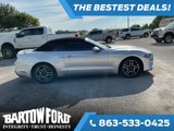 Used 2019 Ford Mustang Premium image 4