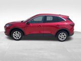 Used 2023 Ford Escape Active w/ Tech Pack #1 image 3