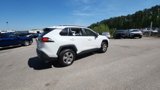 Used 2023 Toyota RAV4 XLE image 5