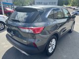 Used 2020 Ford Escape SE image 5