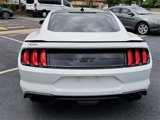 Used 2020 Ford Mustang GT Premium w/ Equipment Group 401A image 5