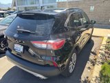 Used 2021 Ford Escape SEL w/ Technology Package image 3