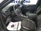 Used 2023 Ford Escape ST-Line Select image 5