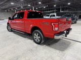 Used 2016 Ford F150 XLT image 4