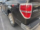 Used 2014 Ford F150 XLT w/ Equipment Group 302A Luxury image 3