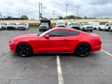 Used 2016 Ford Mustang Coupe w/ Ecoboost Performance Package image 5