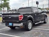 Used 2012 Ford F150 XLT w/ XLT Chrome Pkg image 5
