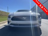 Used 2019 Ford Mustang GT Premium w/ Equipment Group 401A image 2