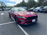 Used 2021 Ford Mustang Coupe w/ Equipment Group 101A image 2