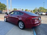 Used 2019 Ford Fusion SE image 4