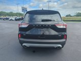 Certified 2020 Ford Escape SE Sport image 4