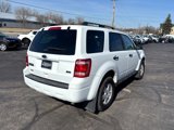 Used 2011 Ford Escape XLT image 3