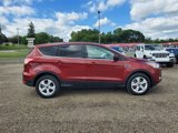 Used 2016 Ford Escape SE image 4