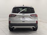 Used 2020 Ford Escape SE image 6