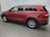 Used 2016 Kia Sorento LX w/ LX Convenience Package image 3