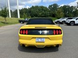 Used 2015 Ford Mustang Convertible w/ Equipment Group 051A image 4