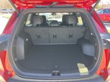 New 2025 Chevrolet Equinox LT w/ Convenience Package II image 6