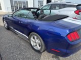 Used 2016 Ford Mustang Convertible image 4