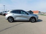 Used 2024 Ford Escape ST-Line image 2