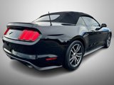 Used 2017 Ford Mustang Premium image 5