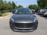 Used 2020 Ford Escape SE Sport image 2
