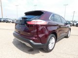 Used 2024 Ford Edge SEL w/ Convenience Package image 2