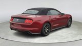 Used 2015 Ford Mustang Premium w/ Ecoboost Performance Package image 3