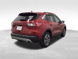 Used 2021 Ford Escape SEL image 5