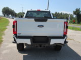 New 2025 Ford F350 4x4 Regular Cab Super Duty image 4