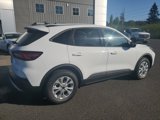 New 2025 Ford Escape Active w/ Tech Pack #1 image 6
