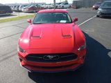 Used 2019 Ford Mustang Premium w/ Pony Package image 2