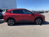 Used 2021 Ford Escape SE w/ SE Sport Appearance Package image 6