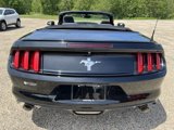 Used 2015 Ford Mustang Convertible w/ Equipment Group 051A image 6