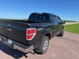 Used 2014 Ford F150 Lariat w/ Equipment Group 502A Luxury image 3
