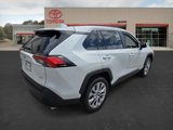 Certified 2024 Toyota RAV4 XLE Premium image 5