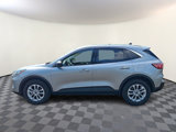 Used 2022 Ford Escape SE w/ Convenience Package image 4