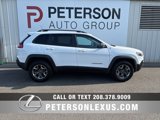 Used 2019 Jeep Cherokee Trailhawk w/ Cold Weather Group image 3